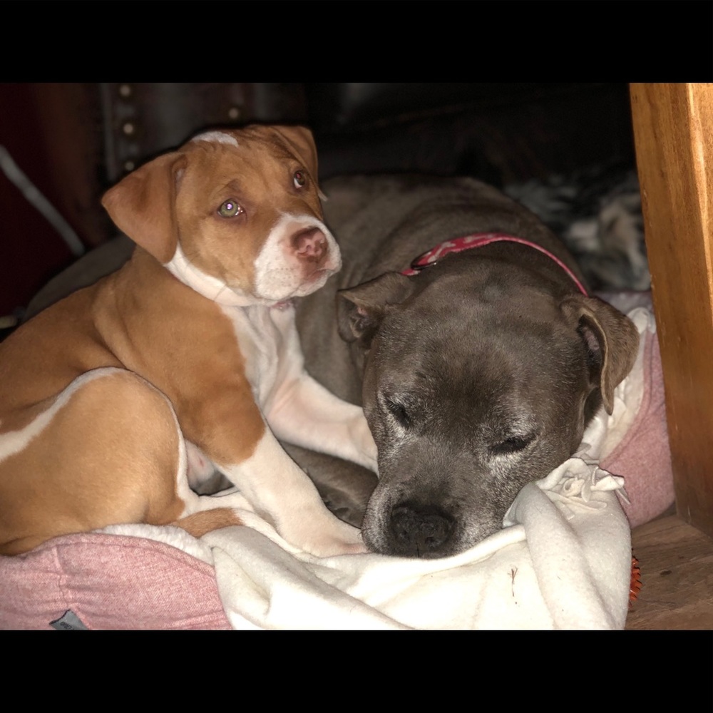 Meet your Posher, Lina